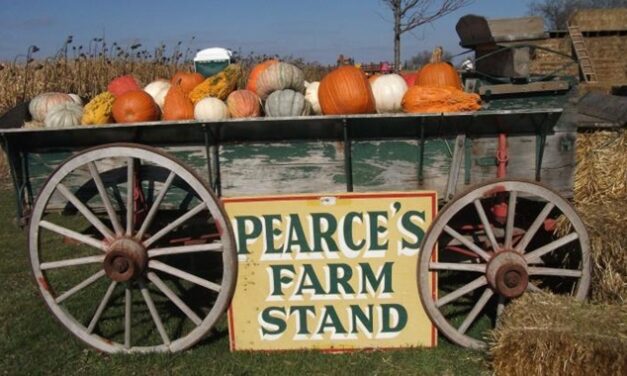 Our Place, September 12, 2026